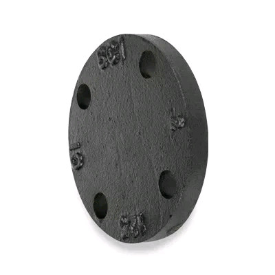 Threaded Flange Pipe Fitting Grey Iron Casting Threaded Companion Flange